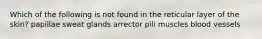 Which of the following is not found in the reticular layer of the skin? papillae sweat glands arrector pili muscles blood vessels