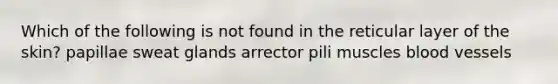 Which of the following is not found in the reticular layer of the skin? papillae sweat glands arrector pili muscles blood vessels