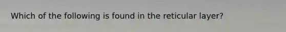 Which of the following is found in the reticular layer?