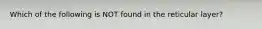 Which of the following is NOT found in the reticular layer?