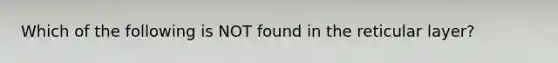 Which of the following is NOT found in the reticular layer?