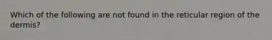 Which of the following are not found in the reticular region of the dermis?