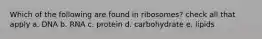 Which of the following are found in ribosomes? check all that apply a. DNA b. RNA c. protein d. carbohydrate e. lipids