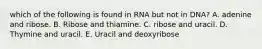 which of the following is found in RNA but not in DNA? A. adenine and ribose. B. Ribose and thiamine. C. ribose and uracil. D. Thymine and uracil. E. Uracil and deoxyribose