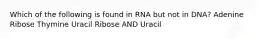 Which of the following is found in RNA but not in DNA? Adenine Ribose Thymine Uracil Ribose AND Uracil