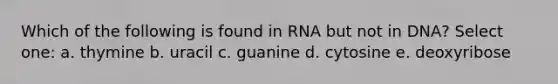 Which of the following is found in RNA but not in DNA? Select one: a. thymine b. uracil c. guanine d. cytosine e. deoxyribose