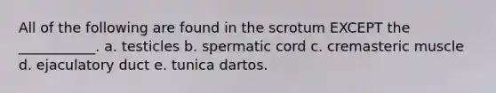 All of the following are found in the scrotum EXCEPT the ___________. a. testicles b. spermatic cord c. cremasteric muscle d. ejaculatory duct e. tunica dartos.