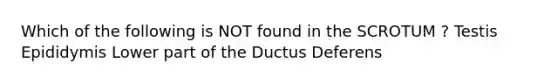 Which of the following is NOT found in the SCROTUM ? Testis Epididymis Lower part of the Ductus Deferens