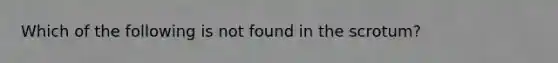 Which of the following is not found in the scrotum?