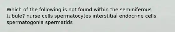 Which of the following is not found within the seminiferous tubule? nurse cells spermatocytes interstitial endocrine cells spermatogonia spermatids