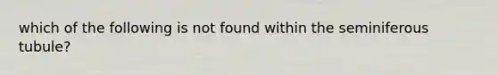 which of the following is not found within the seminiferous tubule?