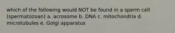 which of the following would NOT be found in a sperm cell (spermatozoan) a. acrosome b. DNA c. mitochondria d. microtubules e. Golgi apparatus