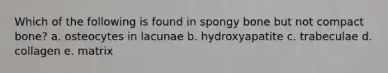 Which of the following is found in spongy bone but not compact bone? a. osteocytes in lacunae b. hydroxyapatite c. trabeculae d. collagen e. matrix