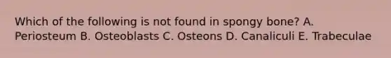 Which of the following is not found in spongy bone? A. Periosteum B. Osteoblasts C. Osteons D. Canaliculi E. Trabeculae