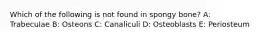 Which of the following is not found in spongy bone? A: Trabeculae B: Osteons C: Canaliculi D: Osteoblasts E: Periosteum