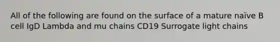 All of the following are found on the surface of a mature naïve B cell IgD Lambda and mu chains CD19 Surrogate light chains