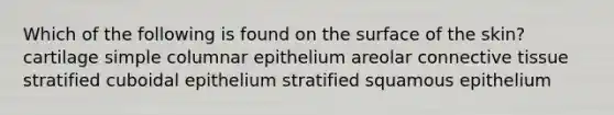 Which of the following is found on the surface of the skin? cartilage simple columnar epithelium areolar connective tissue stratified cuboidal epithelium stratified squamous epithelium