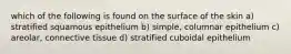 which of the following is found on the surface of the skin a) stratified squamous epithelium b) simple, columnar epithelium c) areolar, connective tissue d) stratified cuboidal epithelium