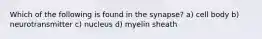 Which of the following is found in the synapse? a) cell body b) neurotransmitter c) nucleus d) myelin sheath