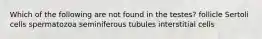 Which of the following are not found in the testes? follicle Sertoli cells spermatozoa seminiferous tubules interstitial cells