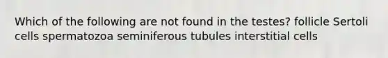 Which of the following are not found in the testes? follicle Sertoli cells spermatozoa seminiferous tubules interstitial cells