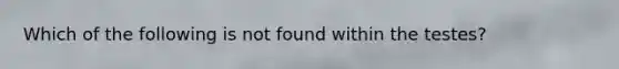 Which of the following is not found within the testes?