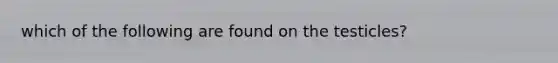 which of the following are found on the testicles?