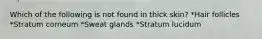 Which of the following is not found in thick skin? *Hair follicles *Stratum corneum *Sweat glands *Stratum lucidum