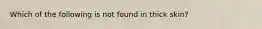 Which of the following is not found in thick skin?