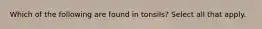 Which of the following are found in tonsils? Select all that apply.