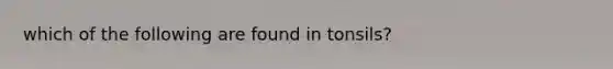 which of the following are found in tonsils?