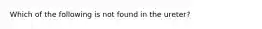 Which of the following is not found in the ureter?