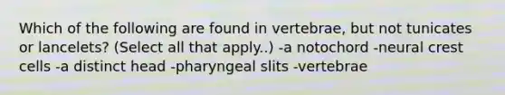 Which of the following are found in vertebrae, but not tunicates or lancelets? (Select all that apply..) -a notochord -neural crest cells -a distinct head -pharyngeal slits -vertebrae