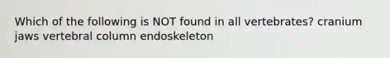 Which of the following is NOT found in all vertebrates? cranium jaws <a href='https://www.questionai.com/knowledge/ki4fsP39zf-vertebral-column' class='anchor-knowledge'>vertebral column</a> endoskeleton