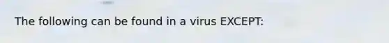 The following can be found in a virus EXCEPT: