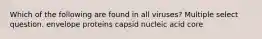 Which of the following are found in all viruses? Multiple select question. envelope proteins capsid nucleic acid core