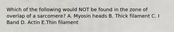 Which of the following would NOT be found in the zone of overlap of a sarcomere? A. Myosin heads B. Thick filament C. I Band D. Actin E.Thin filament