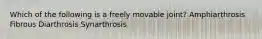 Which of the following is a freely movable joint? Amphiarthrosis Fibrous Diarthrosis Synarthrosis
