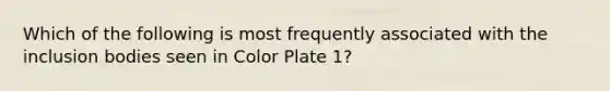 Which of the following is most frequently associated with the inclusion bodies seen in Color Plate 1?