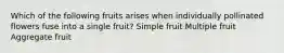 Which of the following fruits arises when individually pollinated flowers fuse into a single fruit? Simple fruit Multiple fruit Aggregate fruit