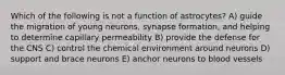 Which of the following is not a function of astrocytes? A) guide the migration of young neurons, synapse formation, and helping to determine capillary permeability B) provide the defense for the CNS C) control the chemical environment around neurons D) support and brace neurons E) anchor neurons to blood vessels