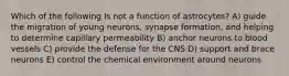 Which of the following Is not a function of astrocytes? A) guide the migration of young neurons, synapse formation, and helping to determine capillary permeability B) anchor neurons to blood vessels C) provide the defense for the CNS D) support and brace neurons E) control the chemical environment around neurons