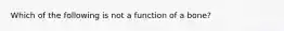 Which of the following is not a function of a bone?