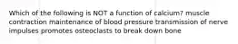 Which of the following is NOT a function of calcium? muscle contraction maintenance of blood pressure transmission of nerve impulses promotes osteoclasts to break down bone