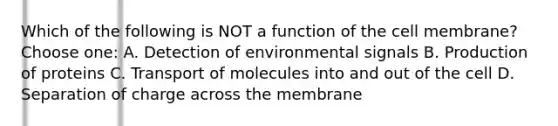 Which of the following is NOT a function of the cell membrane? Choose one: A. Detection of environmental signals B. Production of proteins C. Transport of molecules into and out of the cell D. Separation of charge across the membrane