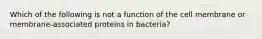 Which of the following is not a function of the cell membrane or membrane-associated proteins in bacteria?