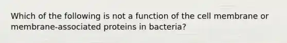 Which of the following is not a function of the cell membrane or membrane-associated proteins in bacteria?