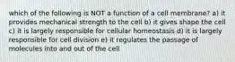 which of the following is NOT a function of a cell membrane? a) it provides mechanical strength to the cell b) it gives shape the cell c) it is largely responsible for cellular homeostasis d) it is largely responsible for cell division e) it regulates the passage of molecules into and out of the cell