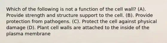 Which of the following is not a function of the cell wall? (A). Provide strength and structure support to the cell. (B). Provide protection from pathogens. (C). Protect the cell against physical damage (D). Plant cell walls are attached to the inside of the plasma membrane