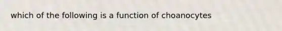 which of the following is a function of choanocytes